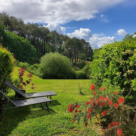 Appartement Calme Avec Jardin Bidart Biarritz Bagian luar foto